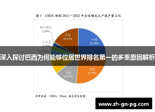 深入探讨巴西为何能够位居世界排名第一的多重原因解析 深入探讨巴西为何能够位居世界排名第一的多重原因解析