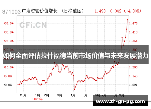如何全面评估拉什福德当前市场价值与未来发展潜力 如何全面评估拉什福德当前市场价值与未来发展潜力