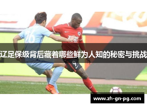 辽足保级背后藏着哪些鲜为人知的秘密与挑战 辽足保级背后藏着哪些鲜为人知的秘密与挑战