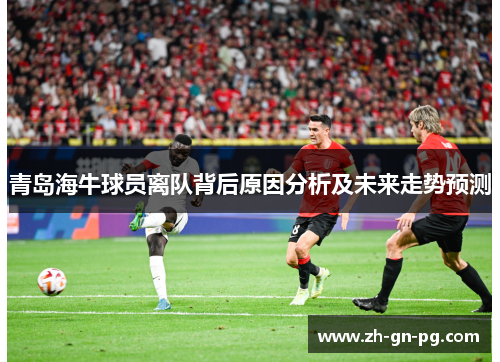 青岛海牛球员离队背后原因分析及未来走势预测 青岛海牛球员离队背后原因分析及未来走势预测