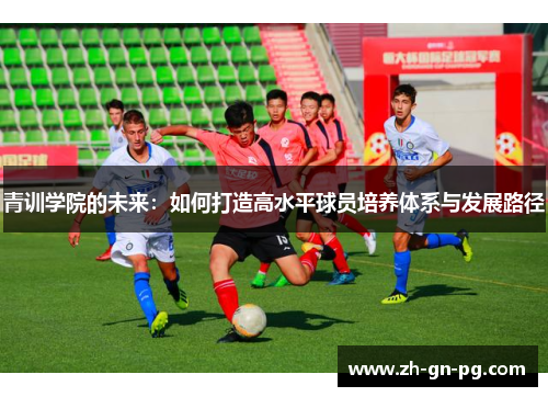 青训学院的未来：如何打造高水平球员培养体系与发展路径