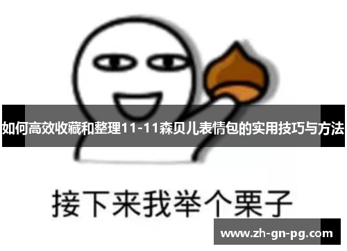 如何高效收藏和整理11-11森贝儿表情包的实用技巧与方法