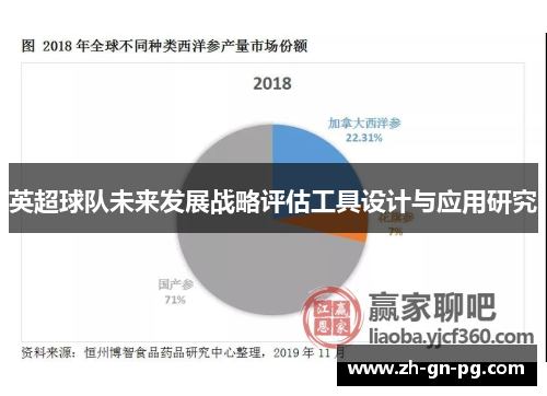 英超球队未来发展战略评估工具设计与应用研究 英超球队未来发展战略评估工具设计与应用研究